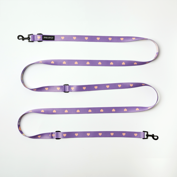 długa smycz dla psa