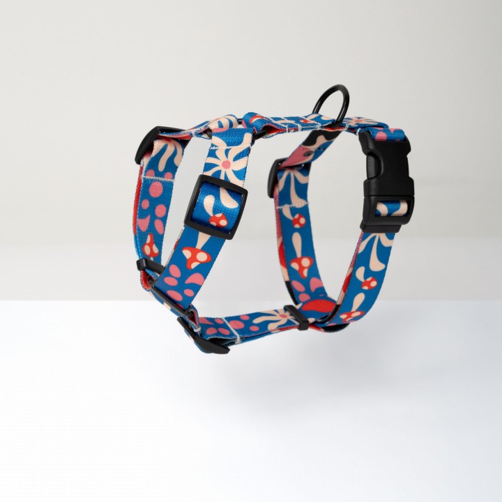 niebieskie szelki dla psa