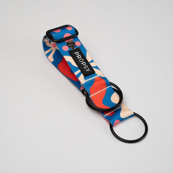 obroża dla charta w muchomory