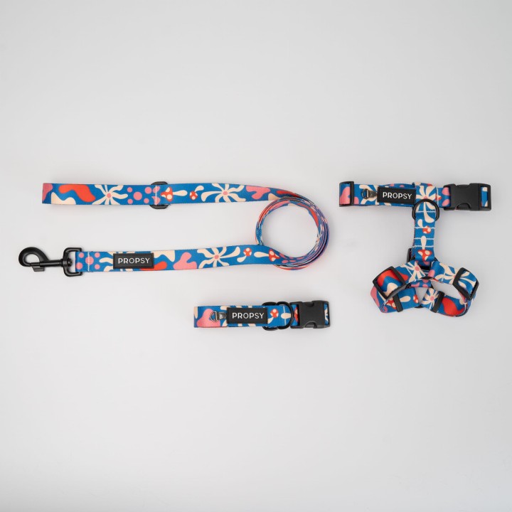 propsy szelki w muchomory