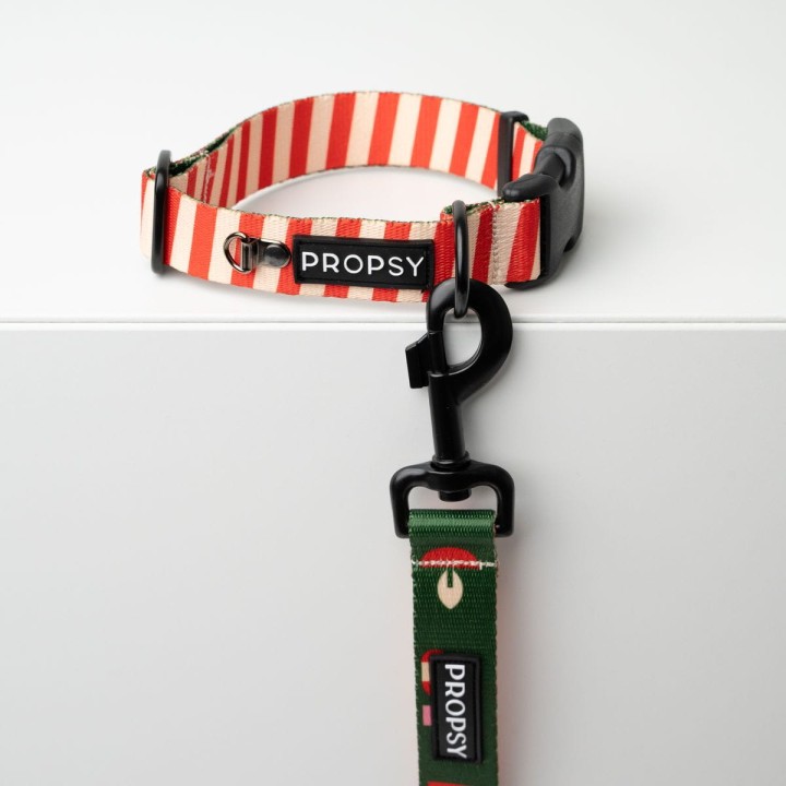 świąteczna obroża dla psa