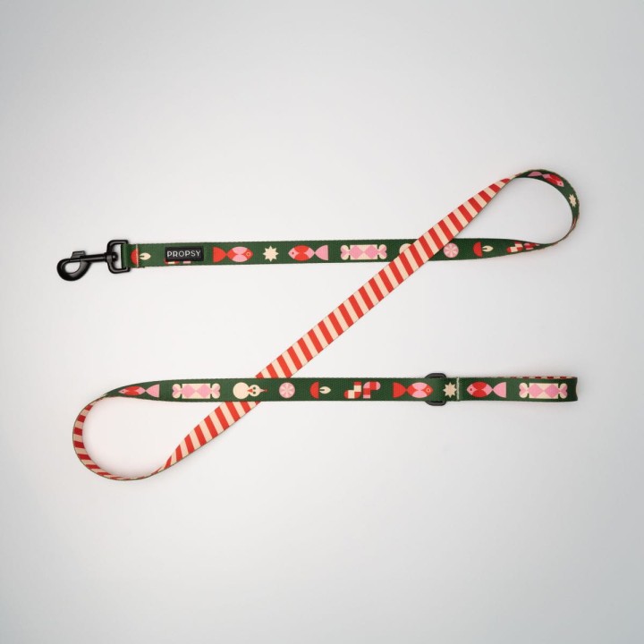 obroża na świąteczna dla psa