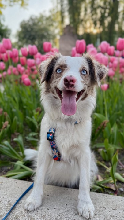 IMG_0291_jpg (2).JPG