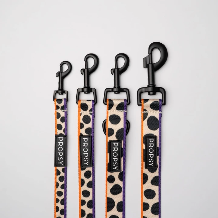 propsy smycz dla psa