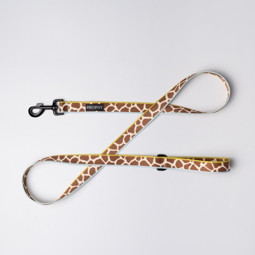 Propsy smycz dla charta