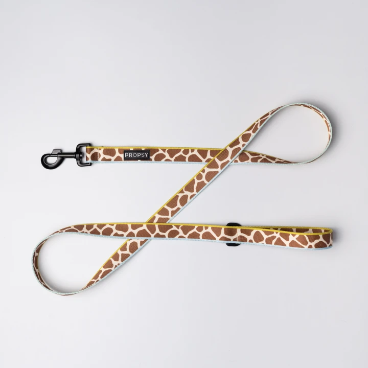 Propsy smycz dla charta