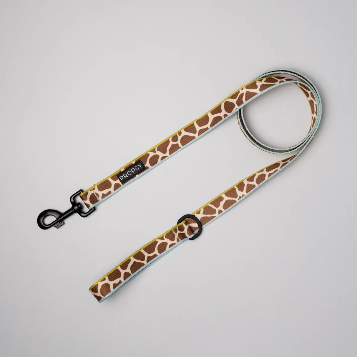 Propsy smycz dla goldena