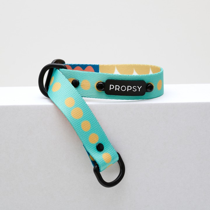 obroża półzaciskowa dla charta