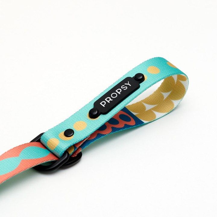 obroża półzaciskowa