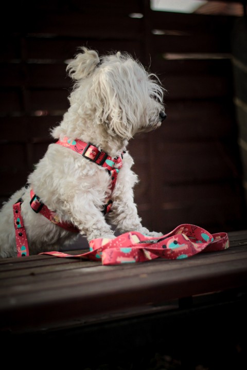 20210223144521_IMG_4850